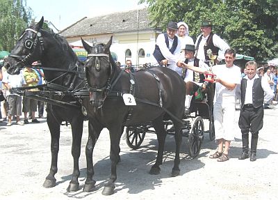 pobjednicka zaprega-m